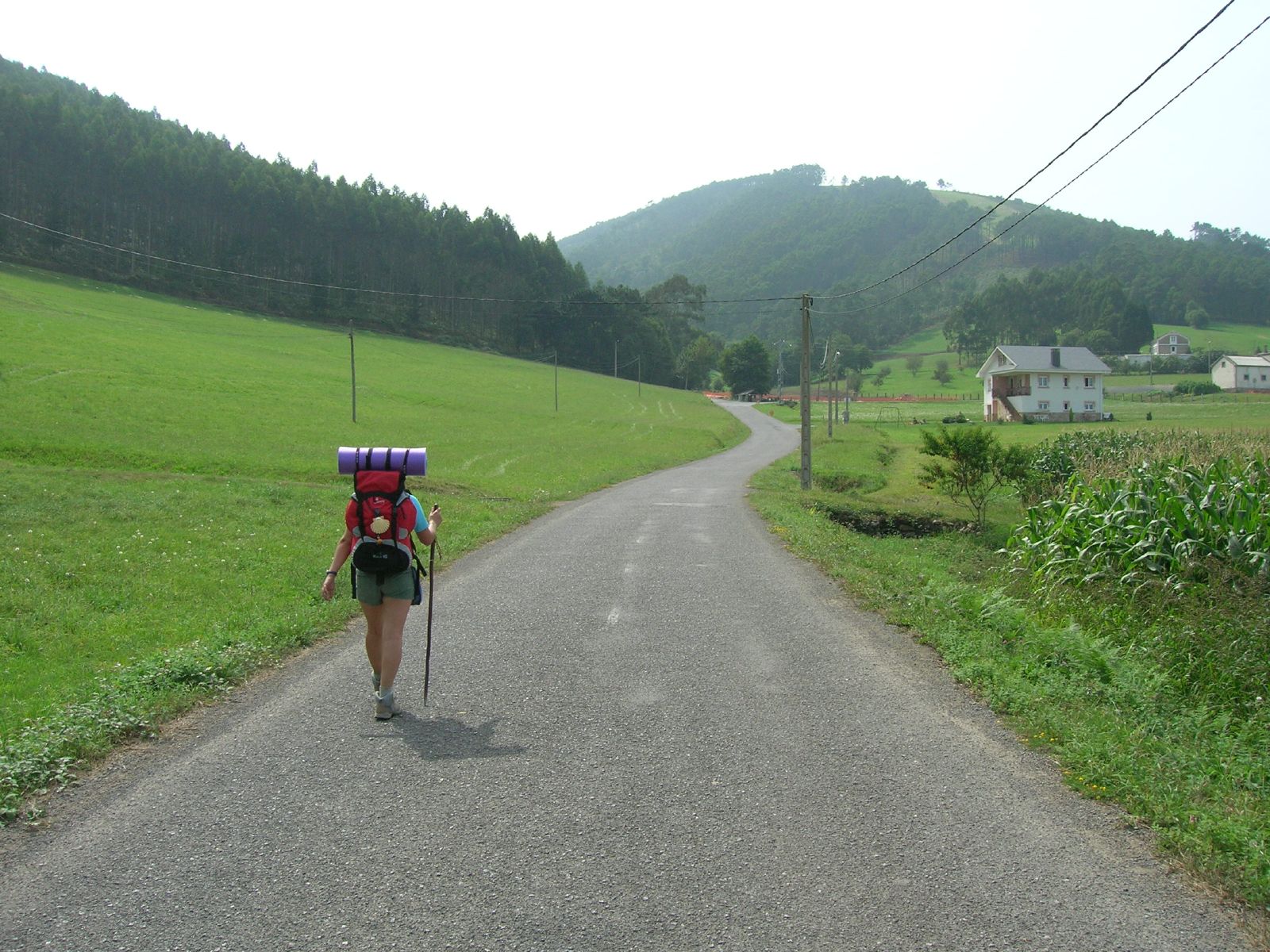 Peregrina caminando por el Camino del Norte entre praderas verdes y monte en Cantabria