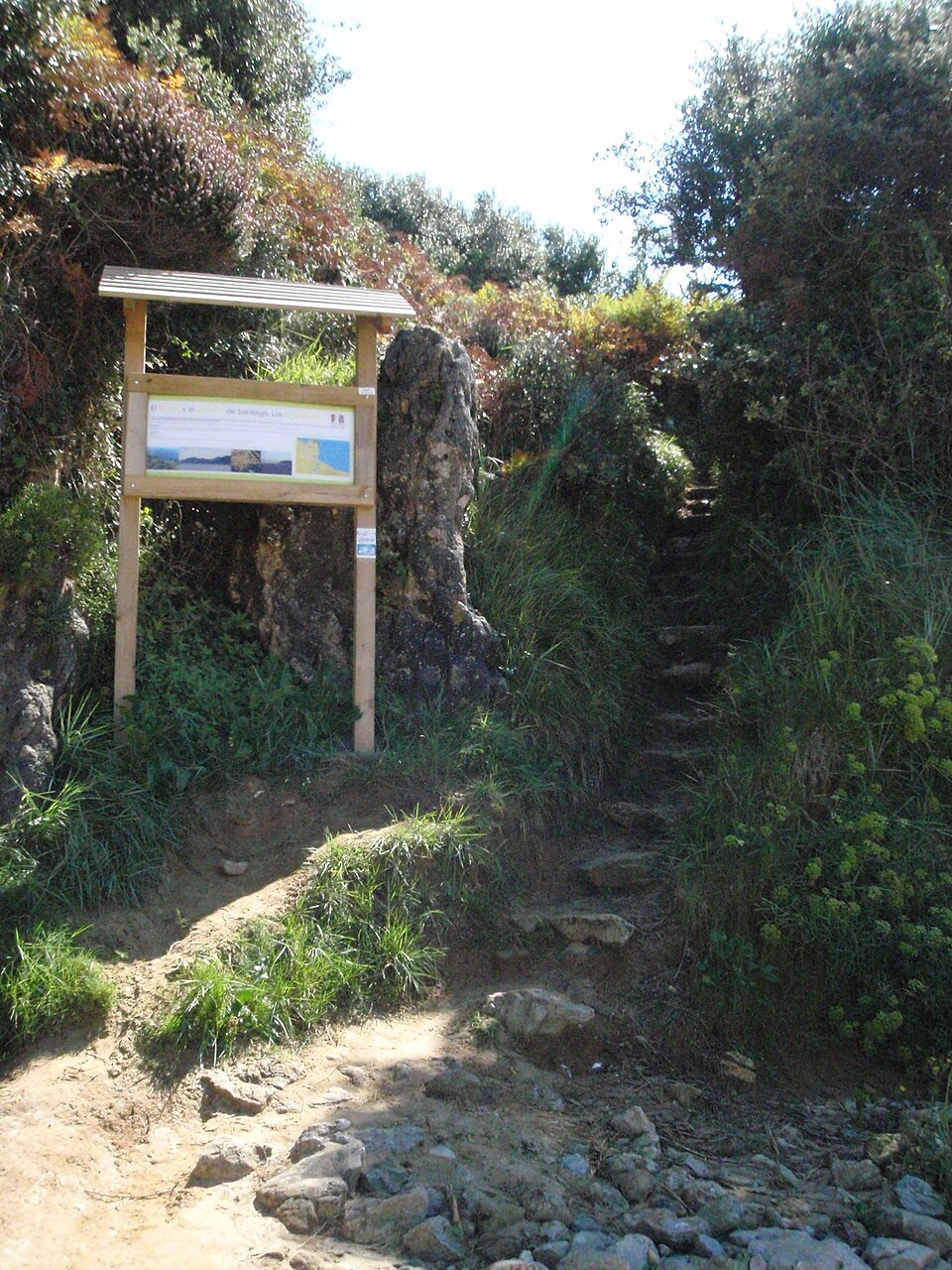 Sendero del Camino del Norte con escalones de piedra y señalización en la costa de Cantabria