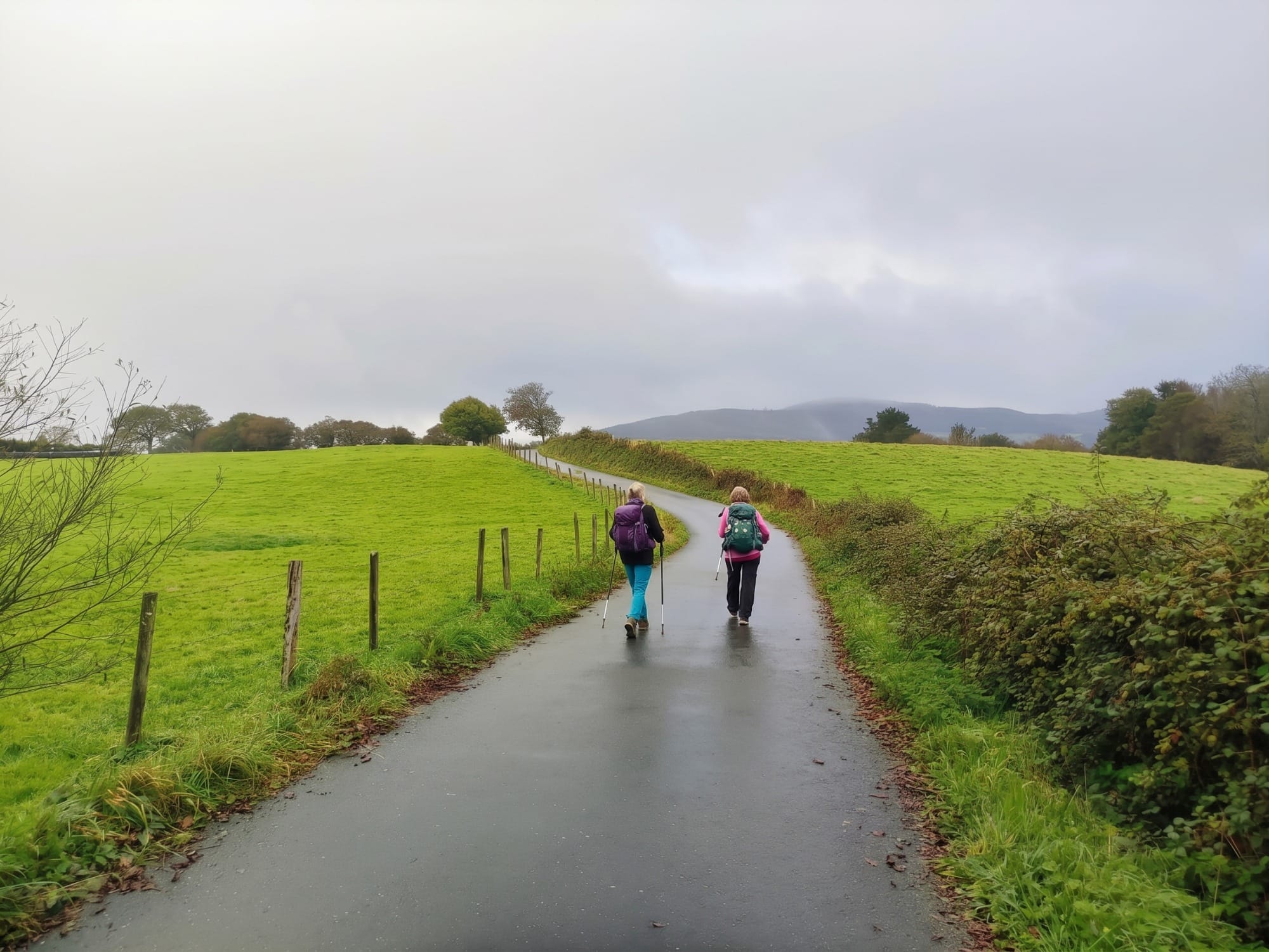 Pilgrims walking along an inland track near Guarnizo, cloudy day