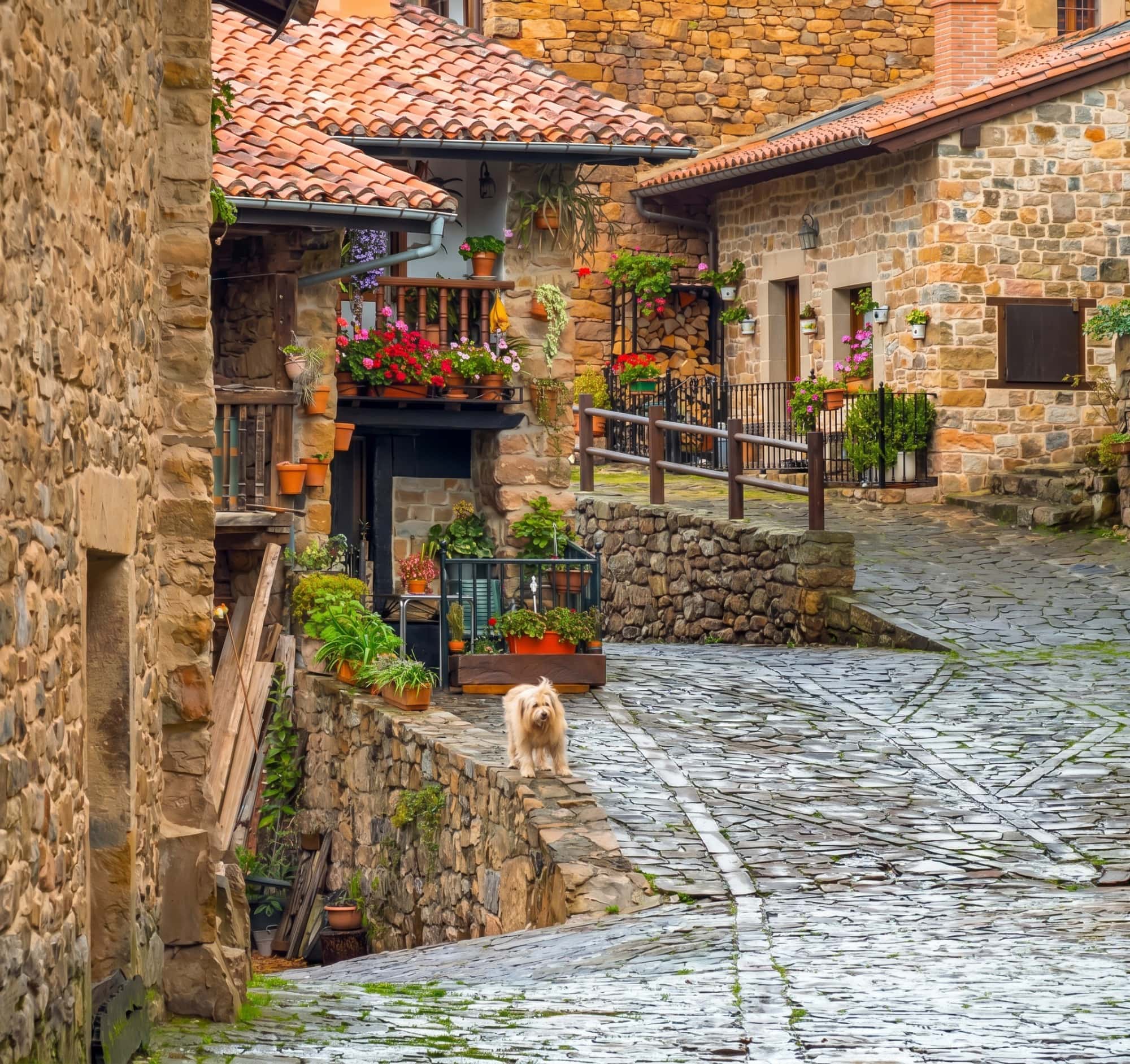 Calle empedrada peatonal de Bárcena Mayor con casas de piedra, sin vehículos