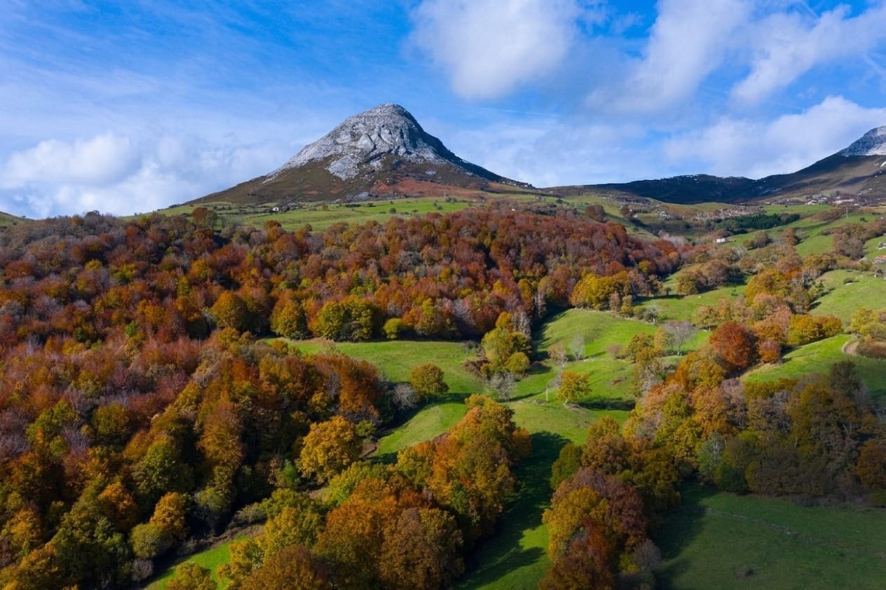 Sendero entre hayas en los Collados del Asón, con el color del otoño en primer plano