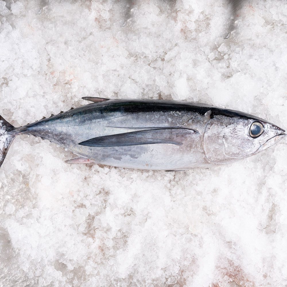 Dónde comer el mejor bonito del norte en Cantabria