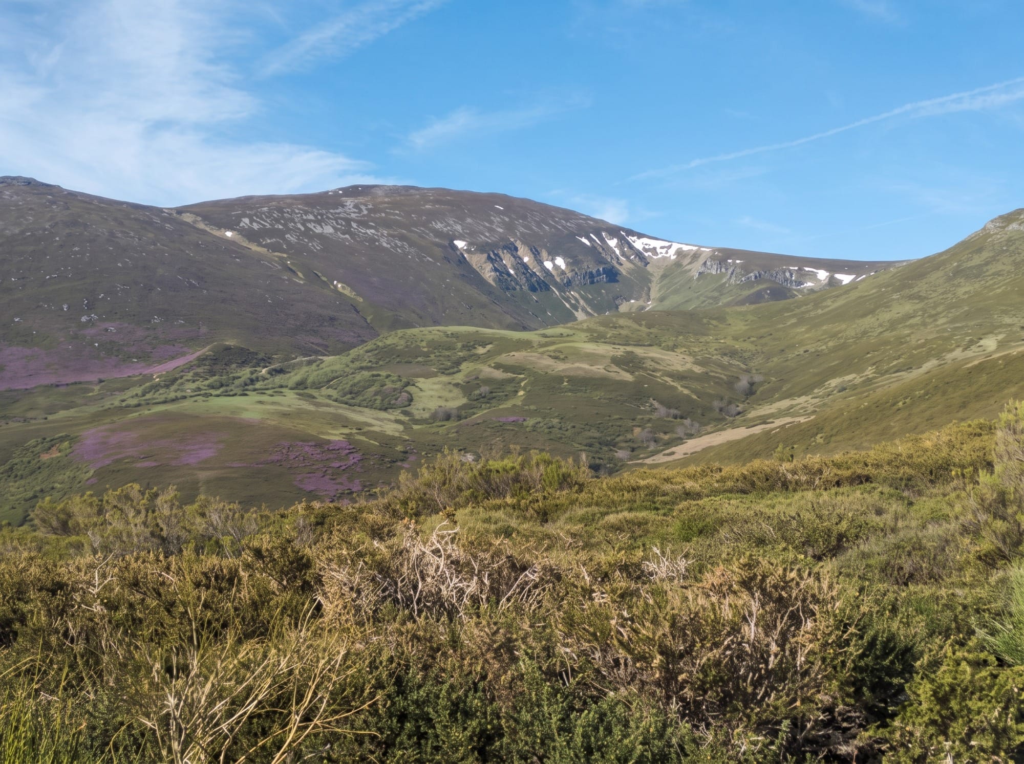 Puerto de Palombera con brezales y pastos de la sierra del Cordel