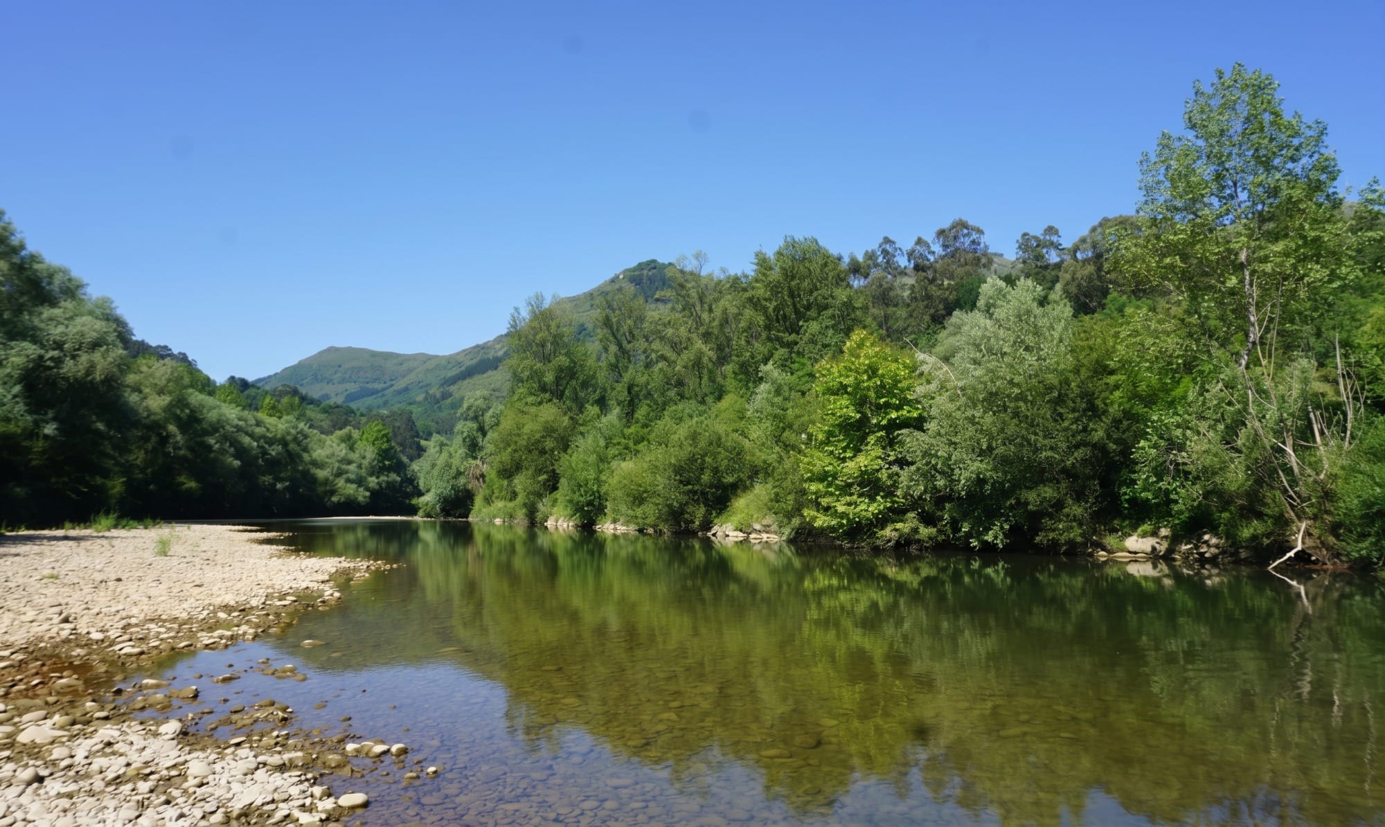 Tramo del río Asón entre Udalla y Ampuero, desde la orilla a ras de agua
