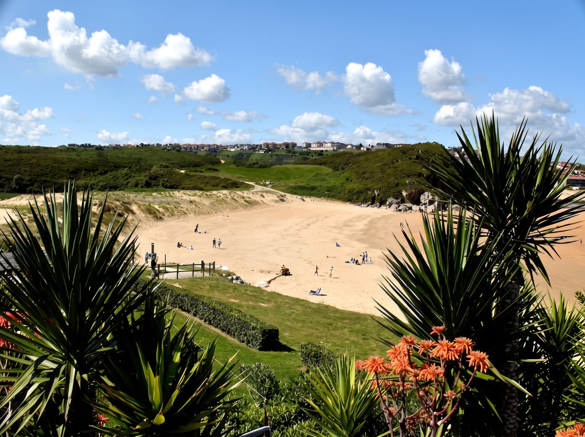 Dunas y vegetación detrás de la playa de Cuchía con lagunas salobres