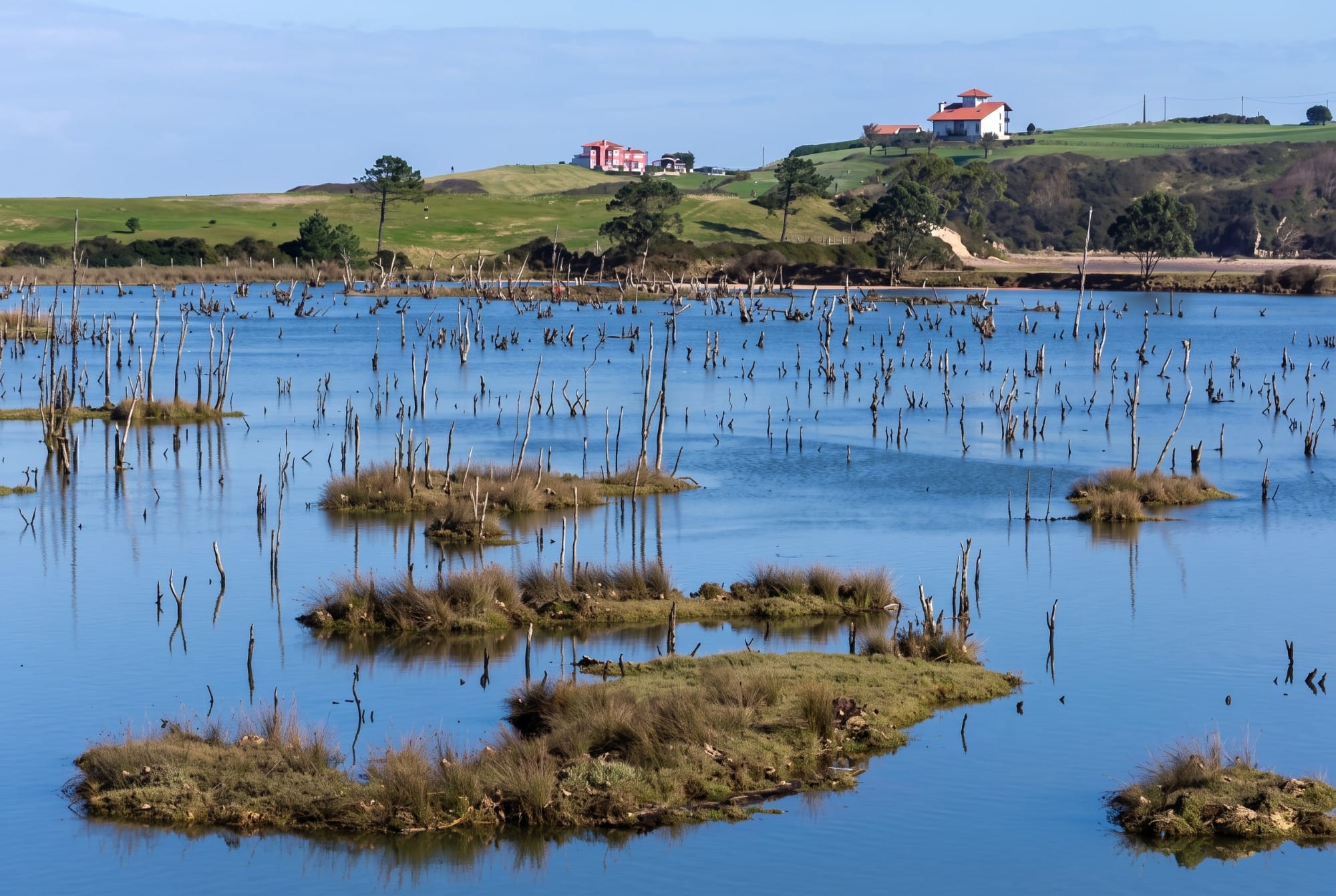 The La Rabia estuary marshes with birds and a wooden boardwalk