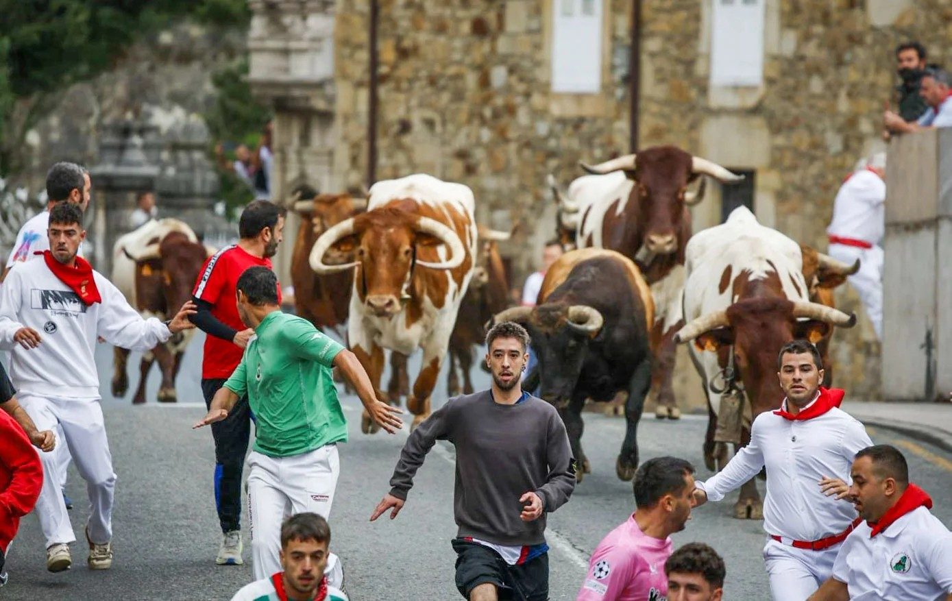Lâcher de taureaux dans les rues d'Ampuero avec des taureaux de l'élevage Sancho Abarca, public derrière les barrières