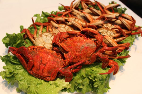 Fruits de mer cantabres servis à table : étrille, tourteau ou pouces-pieds