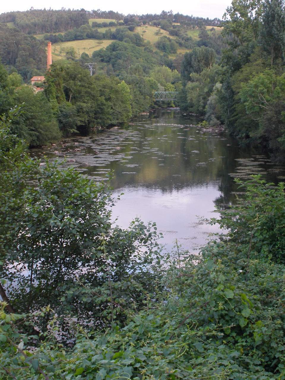 Stretch of gentle water on the Asón river between Udalla and Ampuero, with small plastic canoes visible downstream, enclosed riverside woodland setting.