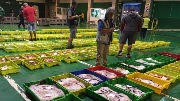 Fruits de mer frais tout juste débarqués sur glace dans une criée du Cantabrique, étrilles et homards vivants