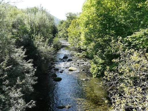 Forêt de rive aux feuilles d'automne au bord d'une rivière cantabre