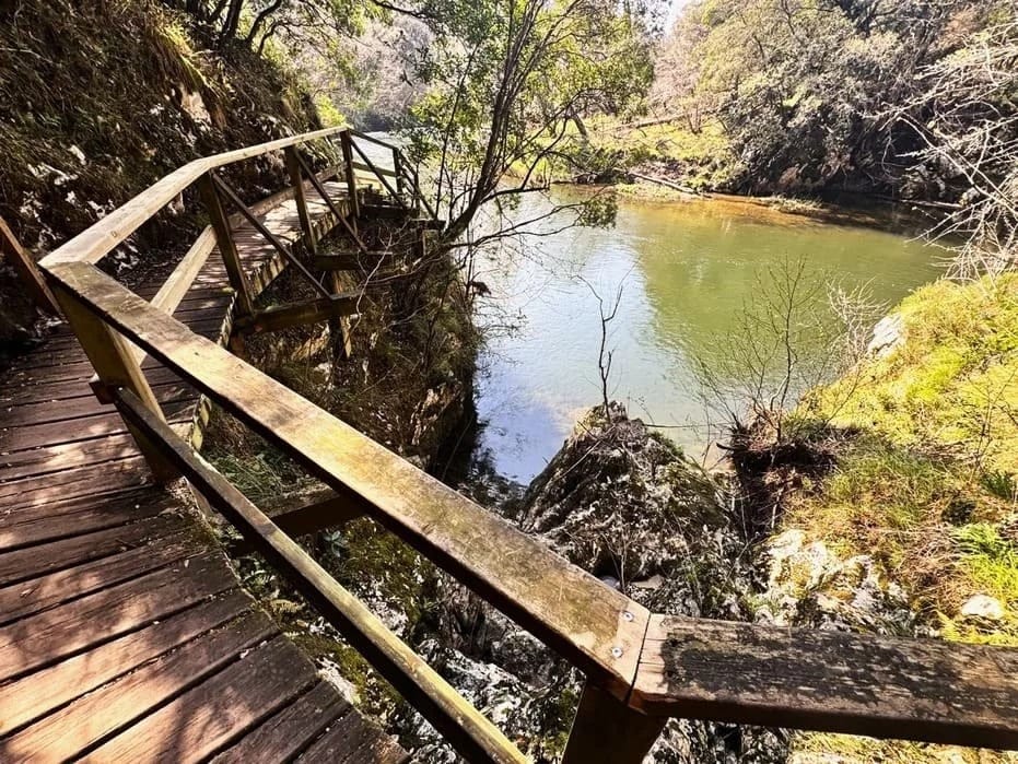 Passerelle en bois au-dessus de l'eau sur le sentier du Nansa, avec des enfants qui la traversent